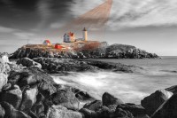 Spotlight On Nubble