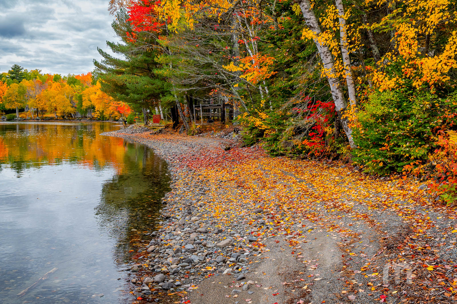 Foliage At Schoodic Lake in Brownville, ME