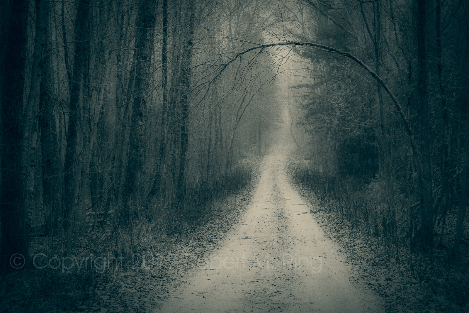 Dark, secluded, road to who knows where...